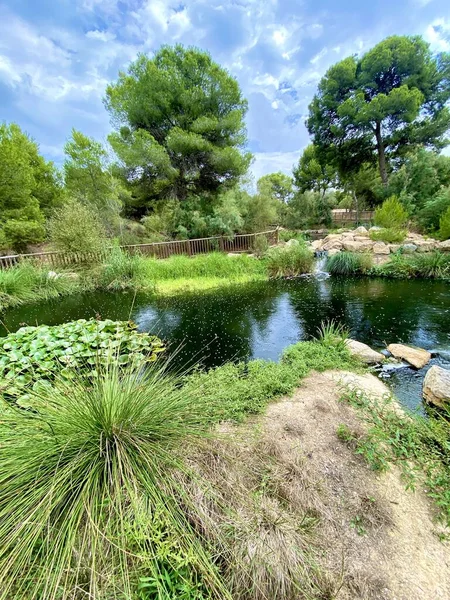 Giglio Acqua Lago Parco Naturale Autunno Natura Della Spagna — Foto Stock