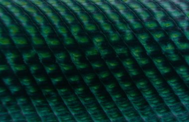 Balık derisi dokusu. Timsah balığı derisi yüzeyi.