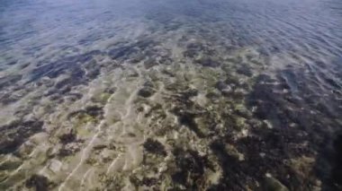 Sakin ve berrak deniz suyunun yavaş hareketi. Yavaş ve berrak su hareketleriyle kumsalın manzarası sahilin yüzeyindeki mercan kayaları..