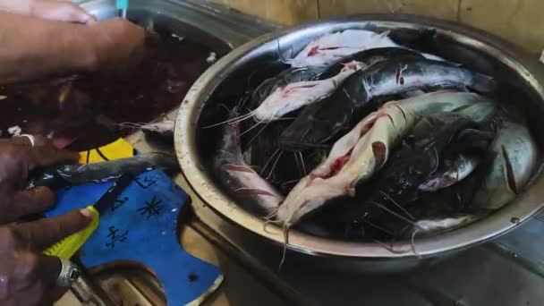 Indonezian Spală Taie Curăță Peștele Crud Într Chiuvetă Pentru Găti — Videoclip de stoc
