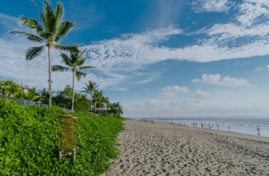 Güzel tropikal plaj. Palmiye ağaçları ve beyaz kum, güzel mavi bulutlar gökyüzü arkaplanı.