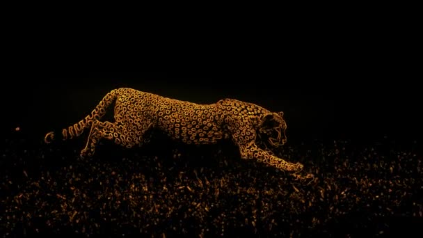 Cheetah Correr Tratar Coger Conejo Neón — Vídeos de Stock