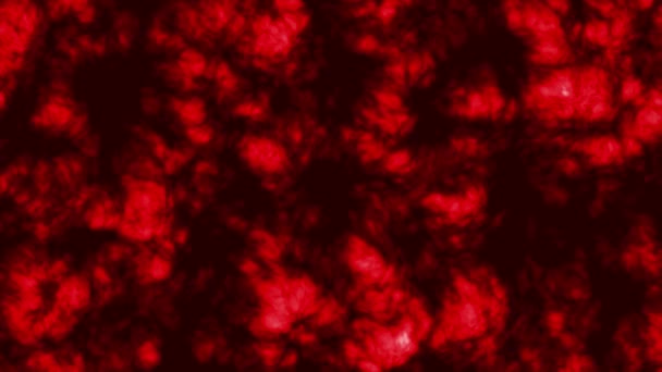 Animado Vermelho Cor Profundidade Nuvem Textura Abstrato Fundo — Vídeo de Stock