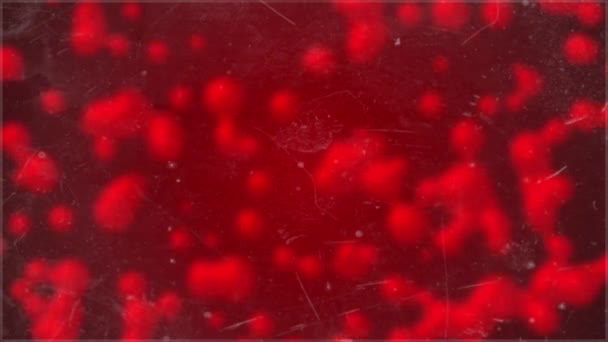 Animé Rouge Couleur Verre Morphisme Agitant Particules Fond — Video
