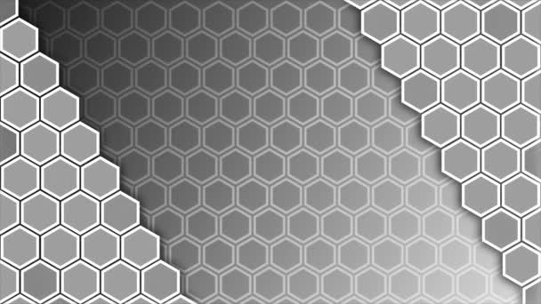 Animado Preto Branco Cor Hexagonal Formas Fundo — Vídeo de Stock
