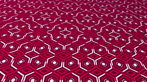 Animated White Lines Moving Hexagonal Pattern Magenta Red Color Background — Stock Video