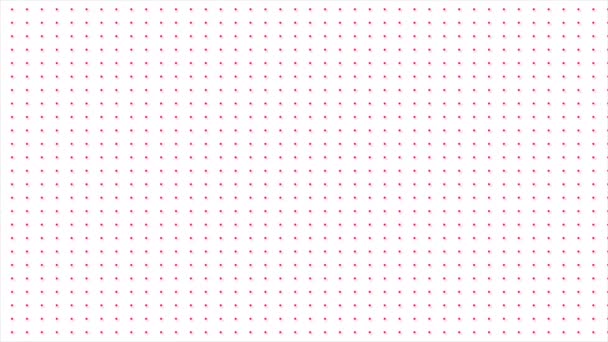 Animated Magenta Red Moving Dots Tech Background Simple Classy Dotted — Stock Video