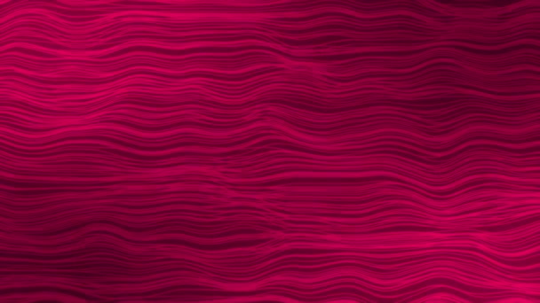 Animado Resumen Magenta Color Rojo Horizontal Movimiento Líneas Onduladas Fondo — Vídeos de Stock