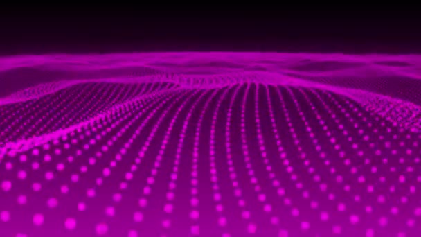 Onda Malha Partículas Rosa Animada Fundo Tecnologia Cibernética Animação Sem — Vídeo de Stock