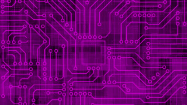 Geanimeerde Pink Computer Chip Met Aansluitingen Signalen Computer Processor Achtergrond — Stockvideo