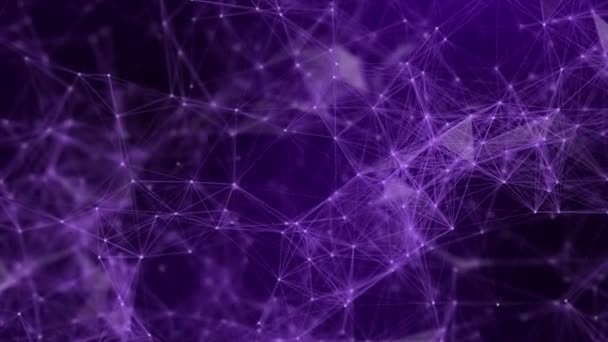 Plexo Púrpura Animado Conexión Digital Abstracta Que Mueve Puntos Líneas — Vídeos de Stock