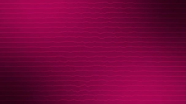 Animated Abstract Magenta Red Color Horizontal Wiggly Lines Moving Black — Stock Video