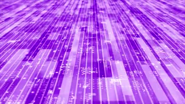 Animado Púrpura Rayas Patrón Caja Movimiento Tecnología Fondo Ciberespacio — Vídeos de Stock