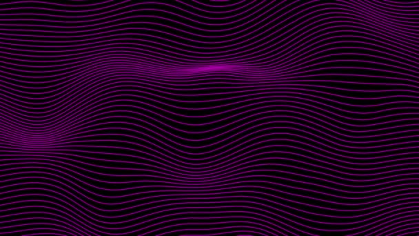 アニメーション 抽象的なピンク色 黒い背景に移動する水平な波長線 抽象的な背景をループ — ストック動画