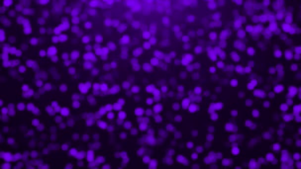Animé Belles Particules Paillettes Violettes Tombant Scintillant Particules Sur Fond — Video