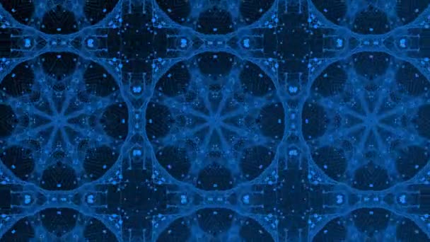 Geanimeerde Royal Blauw Abstracte Caleidoscoop Flora Patroon Achtergrond — Stockvideo