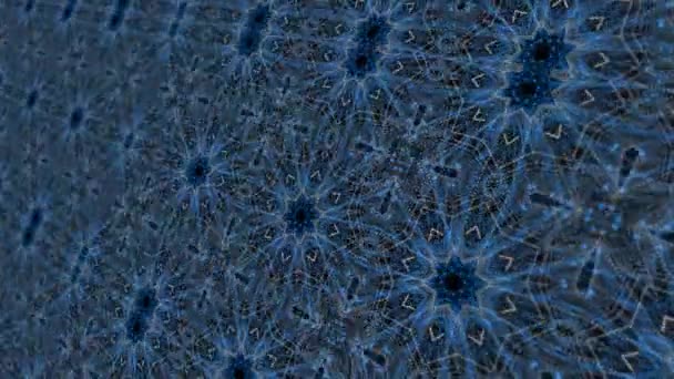 Fondo Patrón Flora Caleidoscopio Abstracto Azul Real Animado — Vídeos de Stock
