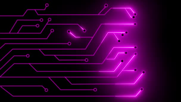 アニメーショングローイングピンク色マザーボード回路パターン背景 — ストック動画
