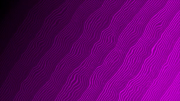 アニメーションピンク色の波形線 ウィッグリングの背景 — ストック動画