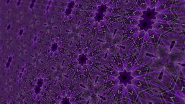 动态紫色抽象万花筒植物图案背景 — 图库视频影像