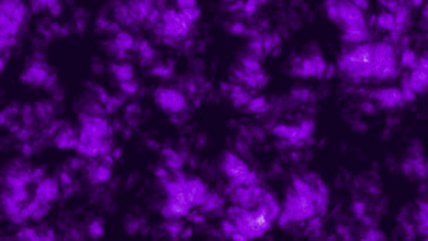 Animowany Fioletowy Kolor Głębokość Chmura Tekstura Abstrakcyjne Tło — Wideo stockowe