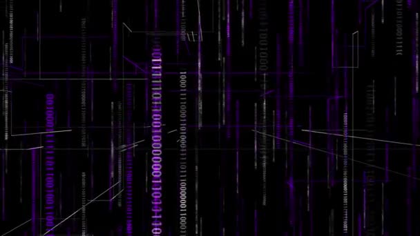 Animated Purple Color Digital Matrix Background Binary Codes — Stock Video