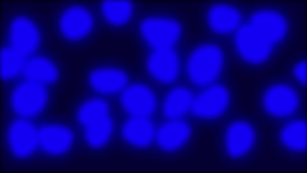 Fondo Burbuja Fluido Color Azul Oscuro Animado — Vídeo de stock