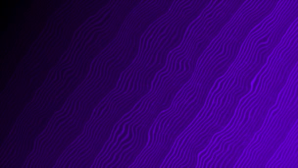 Анимационный Фиолетовый Цвет Волнистые Диагональные Линии — стоковое видео