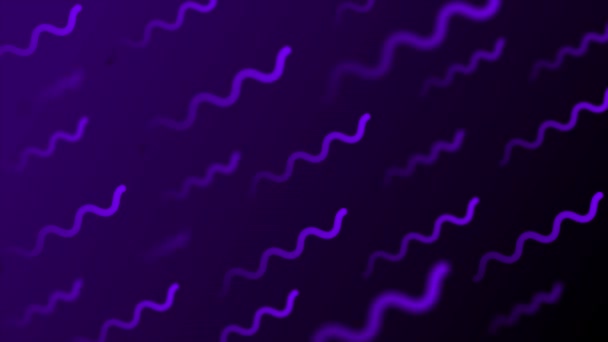 Animated Purple Color Squiggly Line Pattern Background — Stock Video