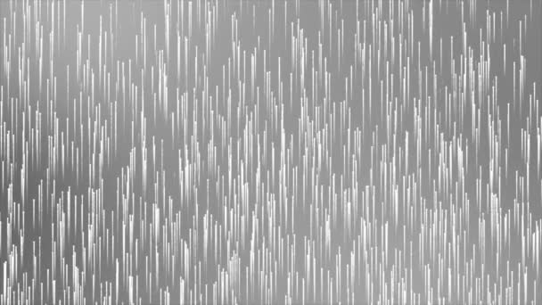 Animado Partículas Brilho Cor Branca Preta Movendo Para Cima Partículas — Vídeo de Stock