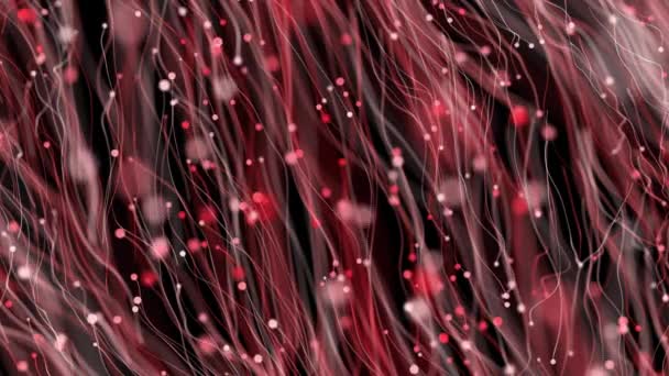 Animé Rouge Couleur Particules Flottant Dans Cyberespace Arrière Plan Futuriste — Video