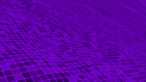 Onda Color Púrpura Digital Abstracta Animada Con Líneas Fondo Onda — Vídeos de Stock