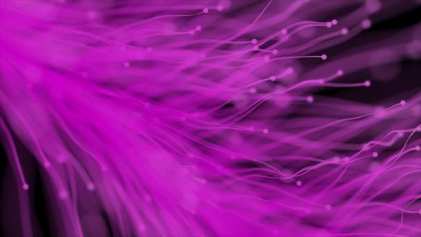 Animado Púrpura Lentamente Moviendo Fondo Partículas Bokeh Partículas Con Rastros — Vídeos de Stock