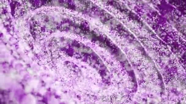 Animierte Abstrakte Lila Farbe Schwebende Glänzende Teilchen Futuristische Hintergrund Glühende — Stockvideo