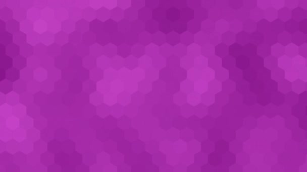 Animado Simples Elegante Cor Rosa Hexagonal Telhas Forma Fundo Hexa — Vídeo de Stock
