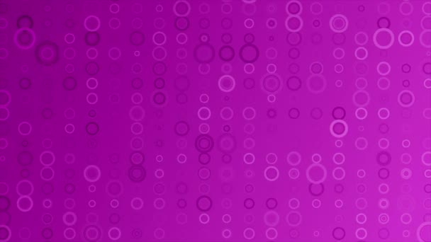 Animated Abstract Random Popping Circles Pink Color Geometrical Futuristic Background — Stock Video