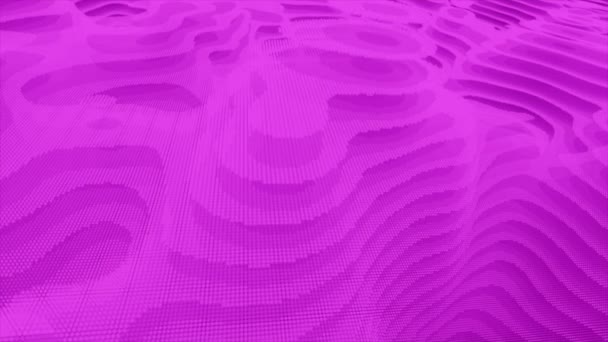 アニメーション3Dハイテクピンク円形ドット地形未来的な背景 3D粒子幾何学的なプレミアムビジネス技術の背景 — ストック動画