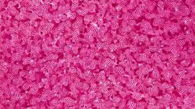 Canlandırılmış Magenta kırmızı renk. Parlak parıltılı geometrik arkaplanı olan 3d dönen cam mermer.