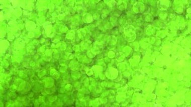 Canlandırılmış kireç yeşil renkli parlak parçacıklar güzel arkaplan, görünen ve kaybolan hareketli parçacıklar arkaplan