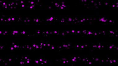  Animasyon Pembe renk baloncukları arka planda kaybolan parçacıklar