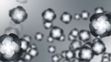 Canlandırılmış beyaz çiçek yaprakları yavaşça yukarı doğru hareket ediyor. 3 boyutlu derinlikte modern tasarım çiçek arkaplanı.