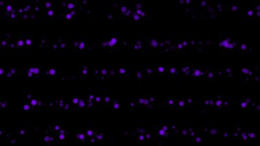 vektörsüz modern doku.