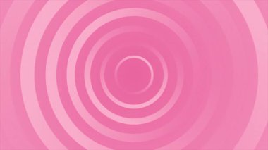 sarmal ile pembe ve beyaz arkaplan