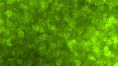 yeşil bokeh soyut ışık arkaplanı