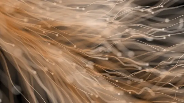 beyaz ve kahverengi parıltıların güzel soyut arka planı