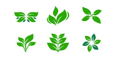 Yaprak simgesi vektör tasarımı modern yaratıcı konsept Premium Vektörü