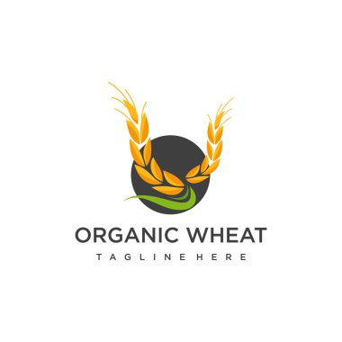 Vektör pirinç logosu buğday logosu tasarımı vektör pirinç simgesi çizimi