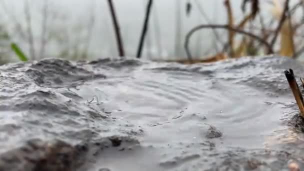 Почувствуйте Безмятежную Красоту Дождевых Капель Собирающихся Камне Высокой Лесистой Вершине — стоковое видео