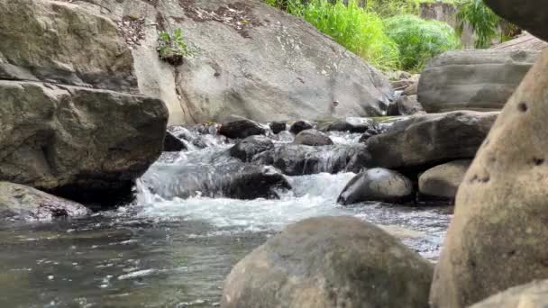 Odkryj Spokój Małego Wodospadu Wdziękiem Zagnieżdżonego Spokojnych Meandrujących Prądach Strumienia — Wideo stockowe