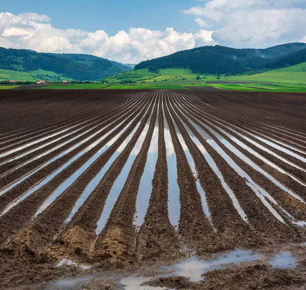 Überflutetes Kartoffelfeld Zeitigen Frühjahr Ackerboden Nach Regen Unter Wasser Überflutete — Stockfoto